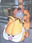 thm_Garfield.gif