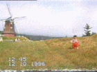 thm_Holand.gif