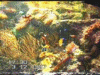 thm_S25.gif